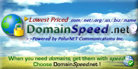 Before rapidname, there was DomainSpeed.net (2004)